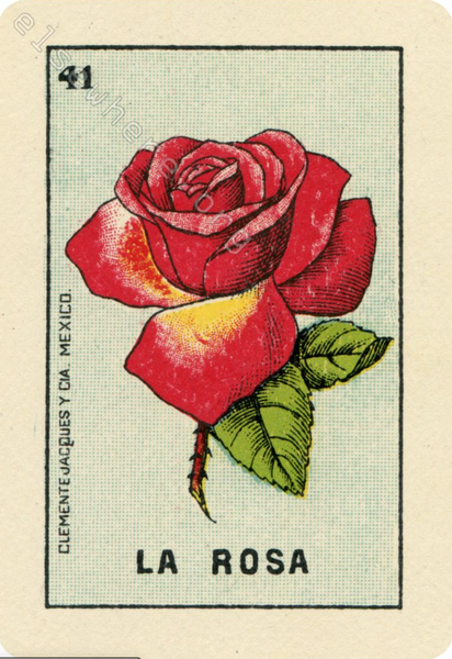41 LA ROSA (The Rose) by artist Sarah Williams