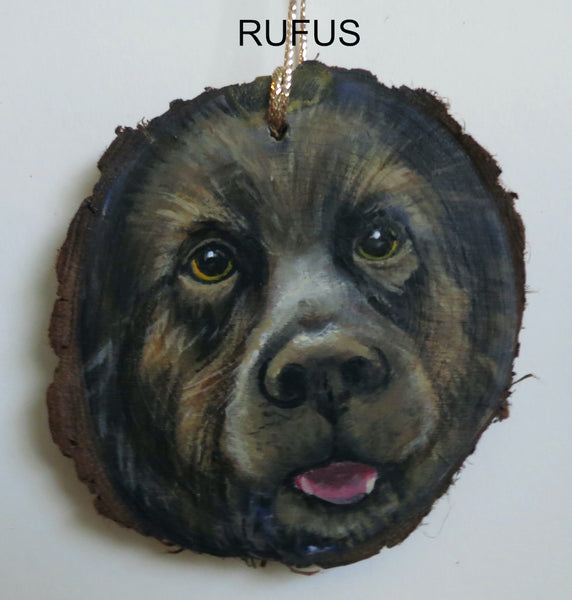 RUFUS by Annette Hassell