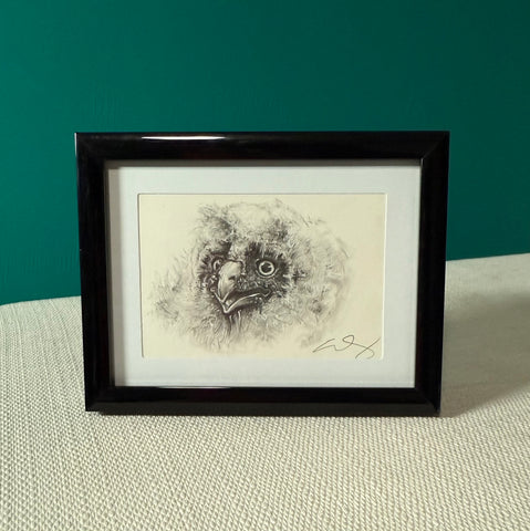 BABY OWLET by artist Emily Gonzáles