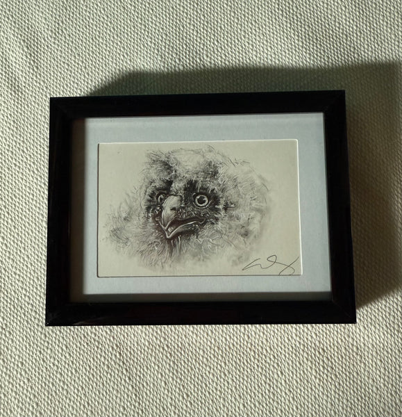 BABY OWLET by artist Emily Gonzáles