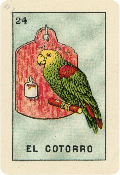 24 EL COTORRO (The Parrot) by artist Phin VanKouwenhoven