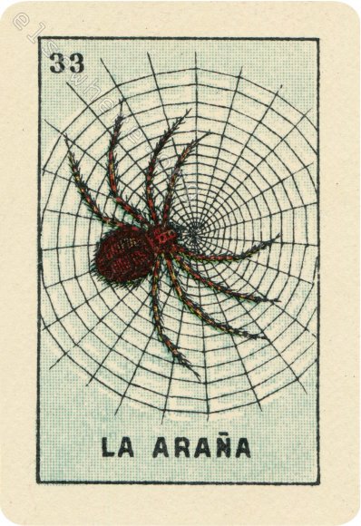 33 LA ARAÑA (The Spider) by artist Patricia Krebs