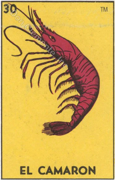 30 EL CAMARON (The Shrimp) by artist Sarah Polzin