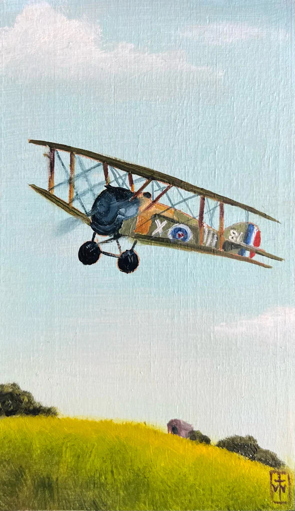 81 EL AVION (The Airplane) by artist Terri Woodward