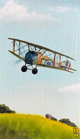 81 EL AVION (The Airplane) by artist Terri Woodward