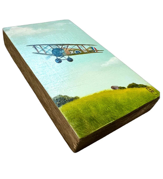 81 EL AVION (The Airplane) by artist Terri Woodward