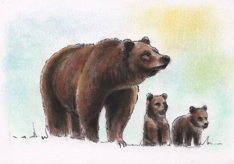 66 EL OSO (The Bear) by artist Emily Gonzáles