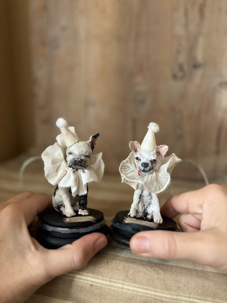 PEPIN (Chihuahua) by artist Disfairy