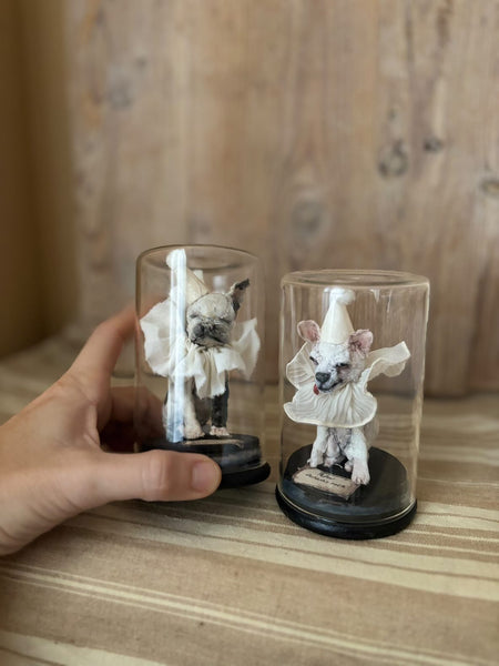 PEPIN (Chihuahua) by artist Disfairy