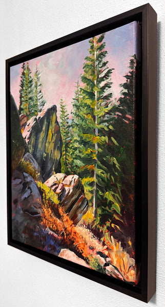 49 EL PINO (The Pine Tree) / Ponderosa Pine, Pacific Crest Trail, CA by artist Stuart Thompson