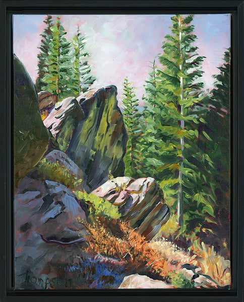 49 EL PINO (The Pine Tree) / Ponderosa Pine, Pacific Crest Trail, CA by artist Stuart Thompson