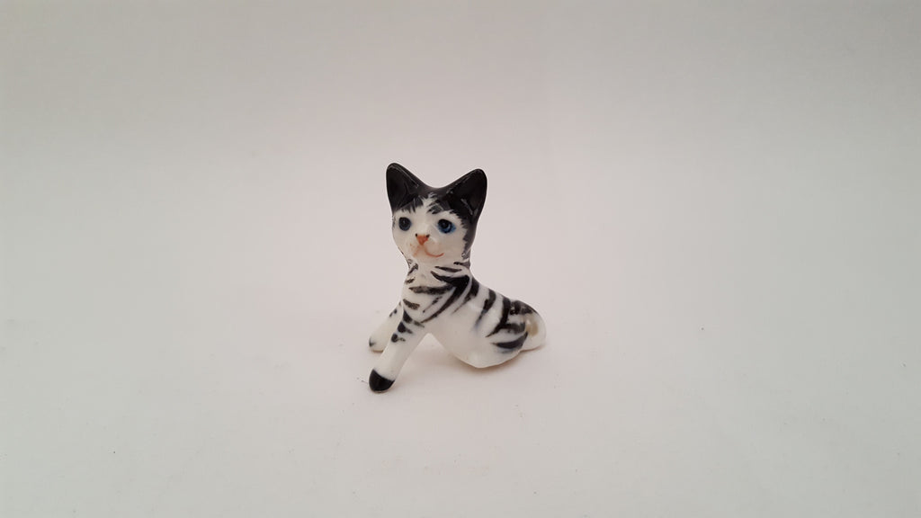 Cat Zebra by Debra Broz