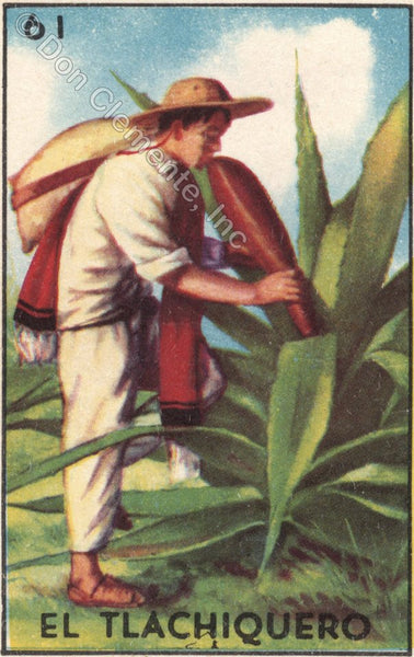 EL TLACHIQUERO (The Agave Harvester) #61 by artist Samantha Mullen