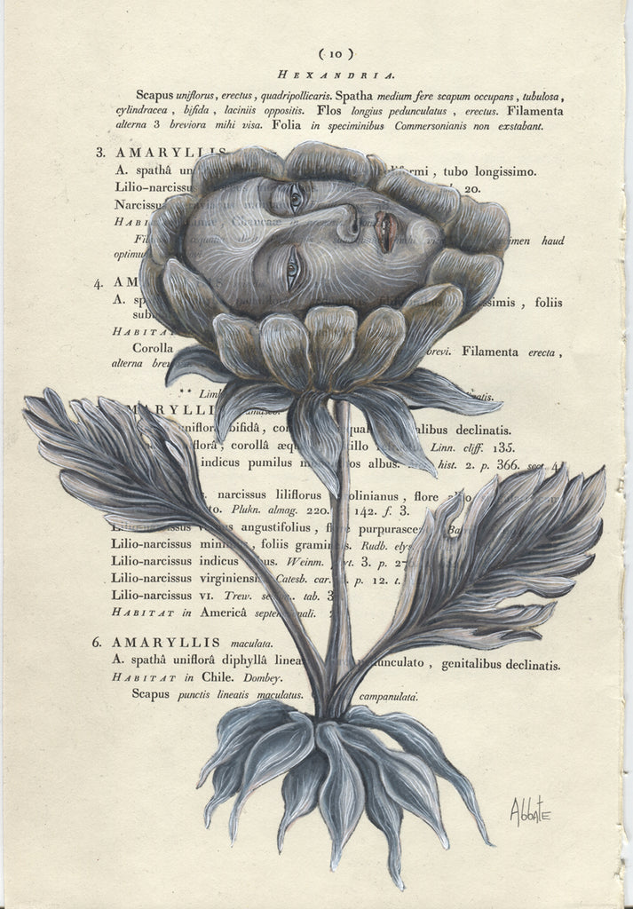 Spoken Flower Page 10 by artist Donna Abbate