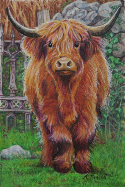 HIGHLAND COW by artist Annette Hassell