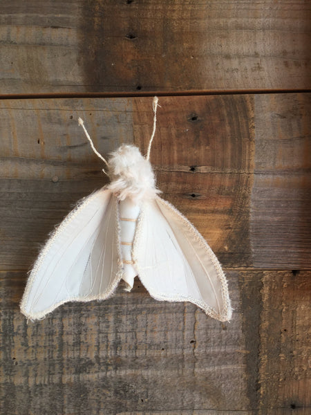 MOTH BROOCH by artist Disfairy (Ilaria Vestri)