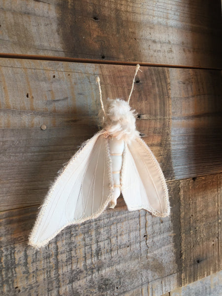 MOTH BROOCH by artist Disfairy (Ilaria Vestri)