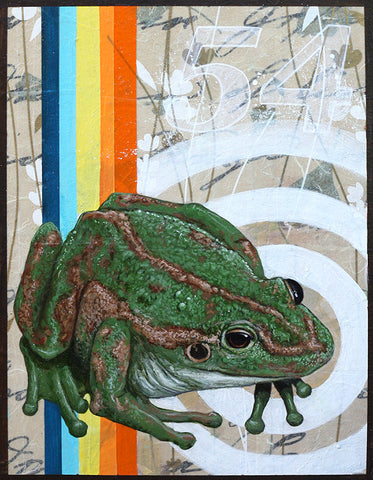 La rana #54 (The Frog) by artist Joshua Coffy