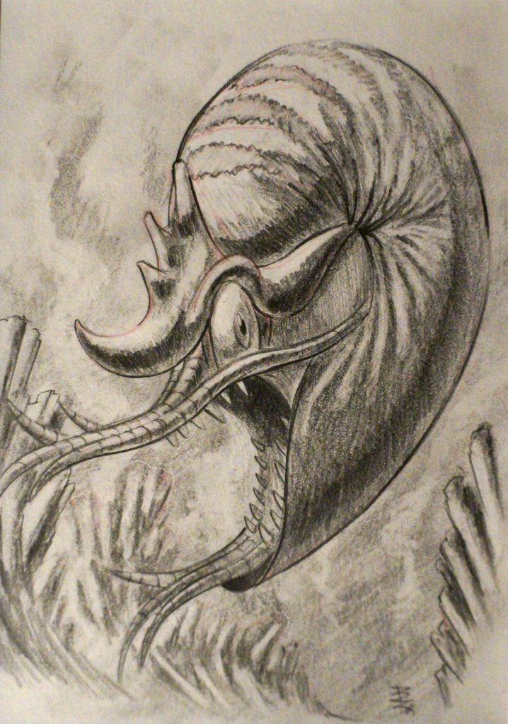 Aktroz Nautilus Drawing by artist Bobby Rojas