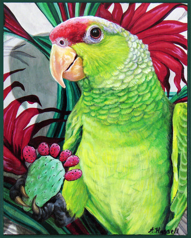 EL COTORRO #24 (The Parrot) by artist Annette Hassell
