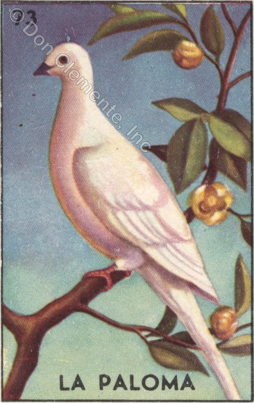 73 LA PALOMA (The Dove) by artist Julie B