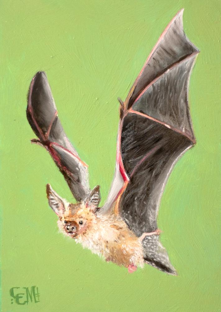 PALID BAT IN GREEN by artist Catherine Moore