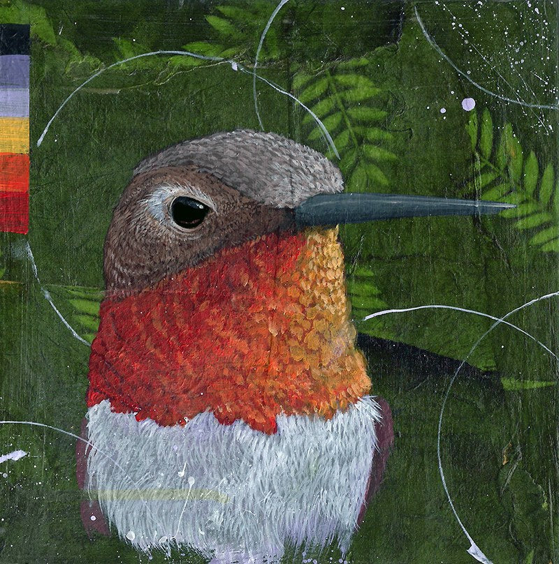 HUMMINGBIRD #5 by artist Joshua Coffy