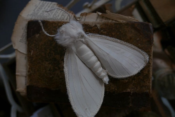 MOTH BROOCH by artist Disfairy (Ilaria Vestri)