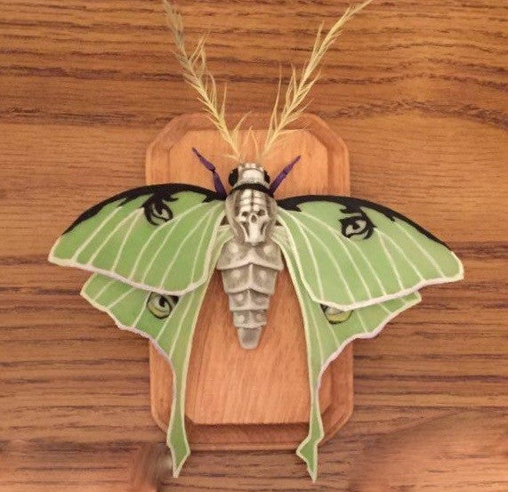 Luna Moth by artist Joe Vollan