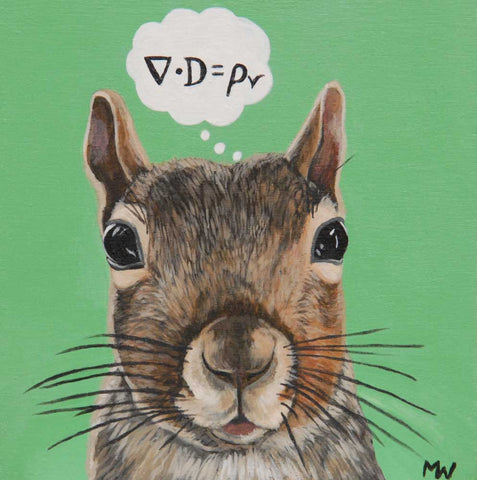 Physics Squirrel by artist Michelle Waters