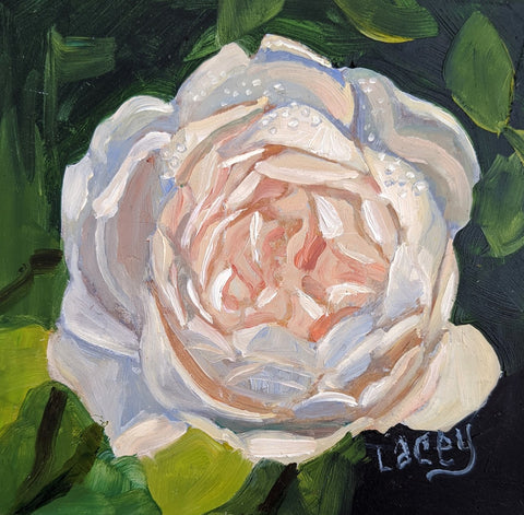 TEST ROSE by artist Lacey Bryant