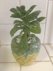 TROPICAL by artist Terri Berman