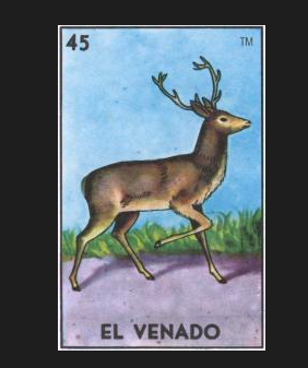 EL VENADO #45 (The Deer) by artist Malathip